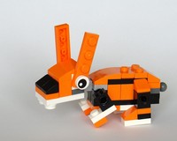 30285: Tiger Rabbit