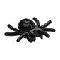 Insect, Spider