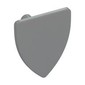 Shield Triangular