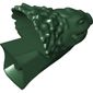 Creature Body Part, Varactyl Head, 'Boga'