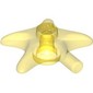 Animal, Starfish