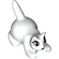 Animal, Cat, Kitten Crouching with Black Eyes, Eyelashes, and Nose Print