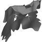 Large Figure Cape, Tattered, Vezon