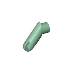 Arm, Right, Juvenile (Rotta)