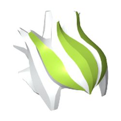 Hair Spiked Top with Lime Green Streaks Print