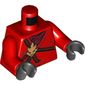 Torso Robe with Brown Rope, Gold Medallion and Dark Red Undershirt Print, Red Arms, Black Hands