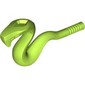 Animal, Snake with Straight Tail