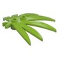 Plant, Leaves 6 x 5 Swordleaf with Clip [Thick Open O Clip]