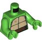 Torso Turtle Shell Print, Bright Green Arms and Hands