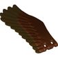 Animal Body Part, Bird, Eagle Wing - Right with Dark Brown Feathers Print