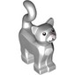 Animal, Cat, Standing New Style with White Chest and Muzzle and Bright Pink Nose Print