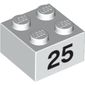 Brick 2 x 2 with Black "25" Print