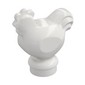 Animal, Chicken [Plain]