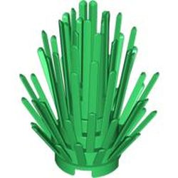 Plant, Bush 2 x 2 x 4