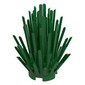 Plant, Bush 2 x 2 x 4