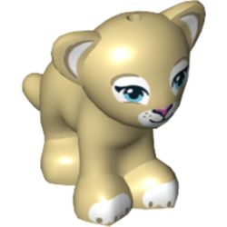 Animal, Big Cat Cub, Lion with Blue Eyes and Dark Pink Nose Print