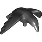 Animal, Bird, Crow with 1.5 Bar