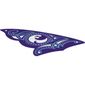Sail, Triangular, 16 x 23 with 3 Holes, and White, Dark Purple and Medium Azure Ornaments, and Water Power Icon Print