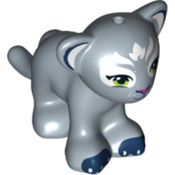Animal, Big Cat Cub, Lion with Light Green Eyes and White Face Markings Print