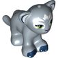 Animal, Big Cat Cub, Lion with Light Green Eyes and White Face Markings Print