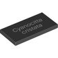 Tile 2 x 4 with White 'Cyanocitta cristata' Print