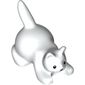 Animal, Cat, Kitten Crouching with Black Eyes, Nose, and Whisker Dots Print