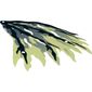 Wing, Right, with Black Limbs and Marbled Dark Blue Print