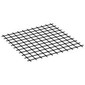 Net 10 x 10 Square