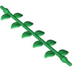 Plant, Vine with Leaves, 16L