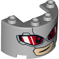 Cylinder Half 2 x 4 x 2 with 1 x 2 Cutout - Giant-Man Face with Red and White Goggle Lenses print