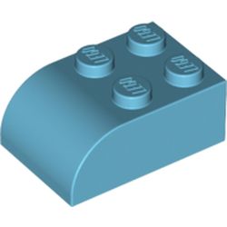 Brick Curved 2 x 3 with Curved Top