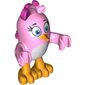 Animal, Bird, Stella