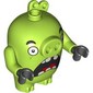 Animal, Pig, Scared