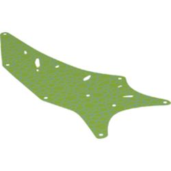 Wing, Right, 11 x 27.5 Triangle, with Gold Scales Print