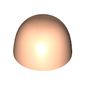 Head Top, Bald