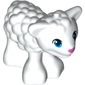 Animal, Sheep / Lamb with Blue Eyes and Dark Pink Nose Print