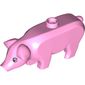 Animal, Pig, Large with Black Eyes and White Pupils and Eyelashes Print