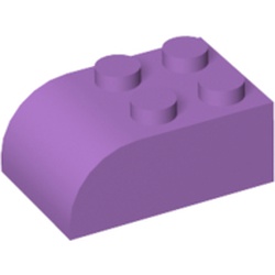 Brick Curved 2 x 3 with Curved Top