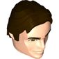 Large Figure Head Han Solo