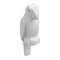 Animal, Bird, Parrot [Plain]