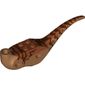 Animal Body Part, Dinosaur, Stygimoloch Body with Dark Orange and Reddish Brown Markings Print
