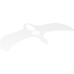 Wings, with White, Gray, and Blue Lightning Print