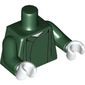 Torso Robe with White Neck Print (Voldemort), Dark Green Arms, White Hands