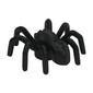 Insect, Spider with Elongated Tail Section