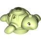 Animal, Turtle, Baby with Olive Green Hearts