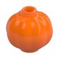 Plant, Pumpkin