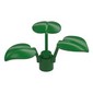 Plant, 1 x 1 x 2/3 - 3 Large Leaves