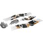Skin Sheet 2 for Set 81000-1