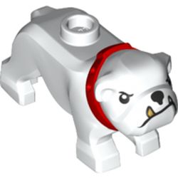 Animal, Dog, Bulldog with Tan Fangs, Red Collar