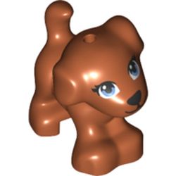 Animal, Dog, Small Standing with Blue Eyes, Black Nose